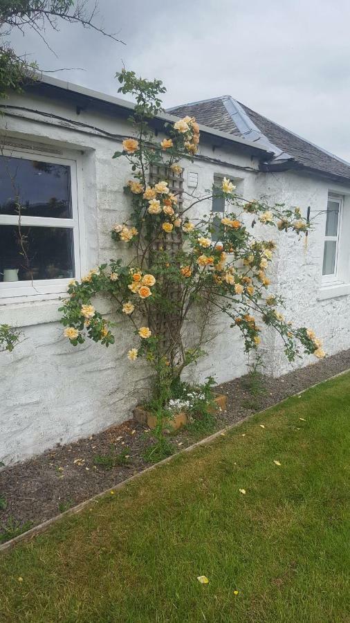 Barcloy Honey House Kirkcudbright Exterior foto